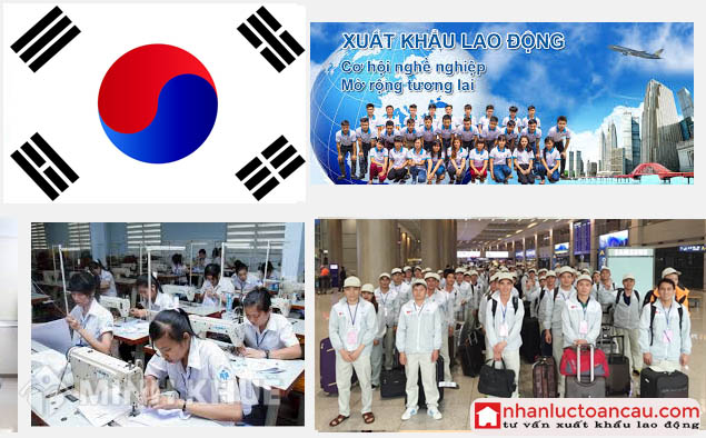 xuat khau lao dong han quoc